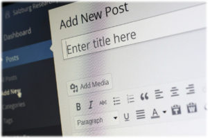 Screenshot of WordPress Add New Post Display